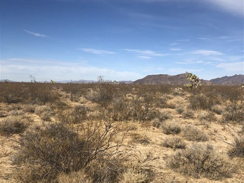 5 Acres by Chrysler Proving Grounds : Yucca : Mohave County : Arizona
