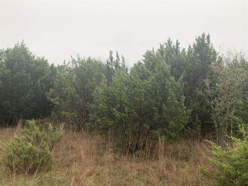 Great Lot with Buildable Areas : Bluff Dale : Erath County : Texas
