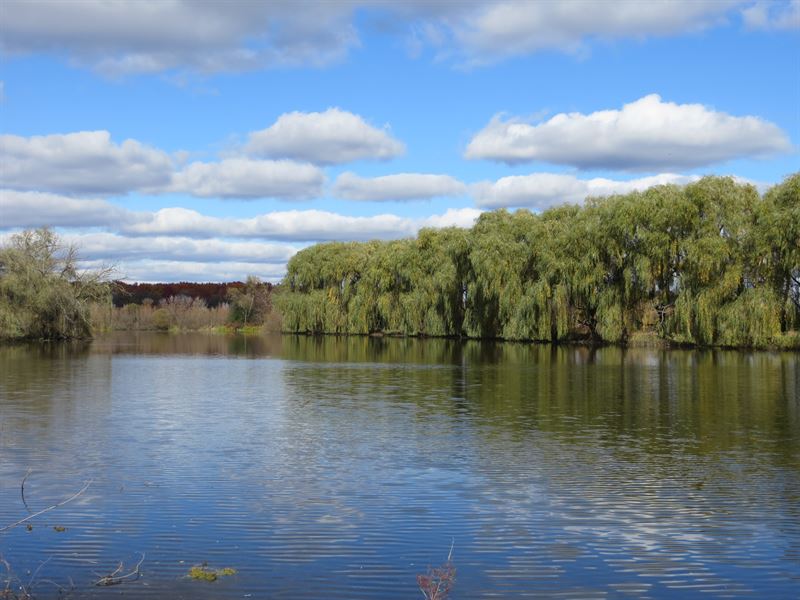 Farm Land with Res Development : Chelsea : Washtenaw County : Michigan