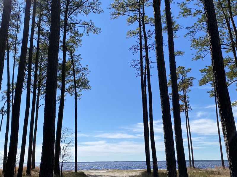Waterfront Lot for Sale Eastern NC : Scranton : Hyde County : North Carolina