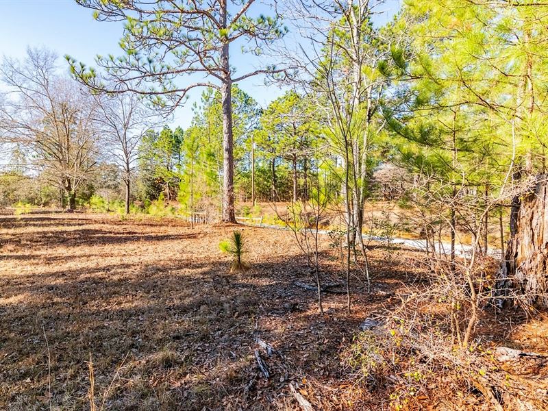 1 Acre Land + Fixer Upper : Springfield : Aiken County : South Carolina