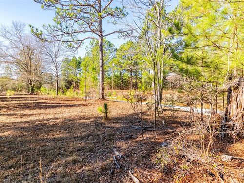 Seven oaks south carolina Seven oaks south carolina