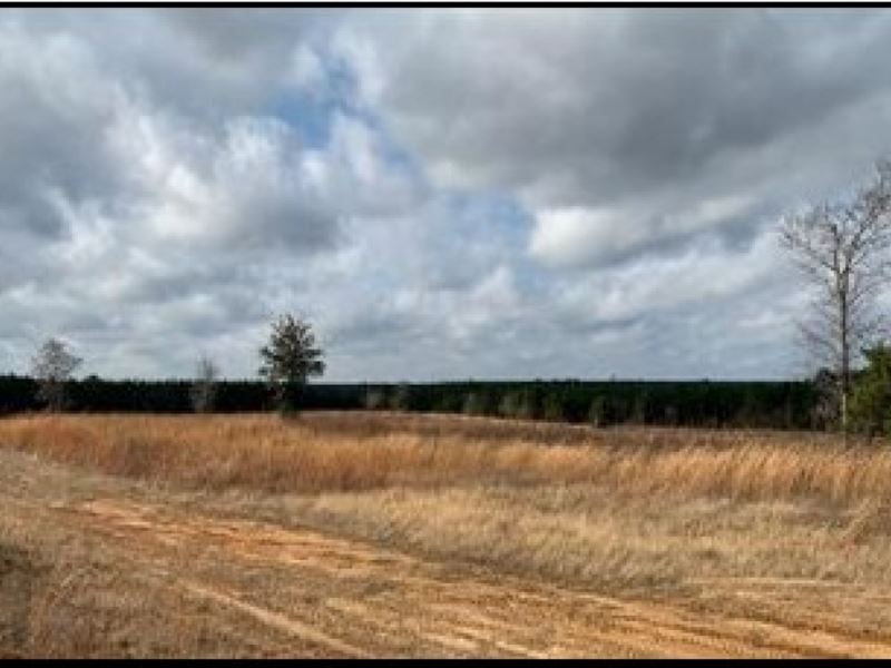154.5 Acres with Living Quarters : Arlington : Lincoln County : Mississippi
