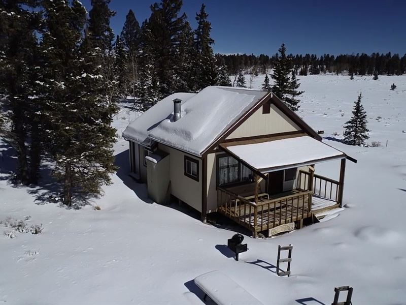 Secluded 40 Acres Custom Cabin : Powderhorn : Gunnison County : Colorado