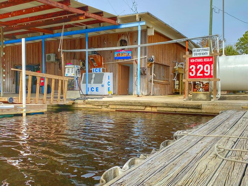 Suwannee, Florida : Suwannee : Dixie County : Florida
