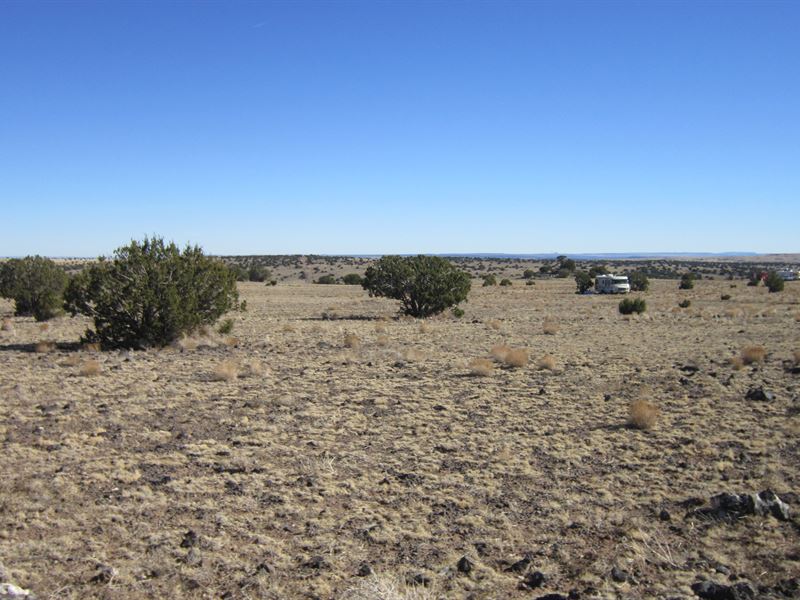 1.11 Acres Close to Concho Lake : Concho : Apache County : Arizona