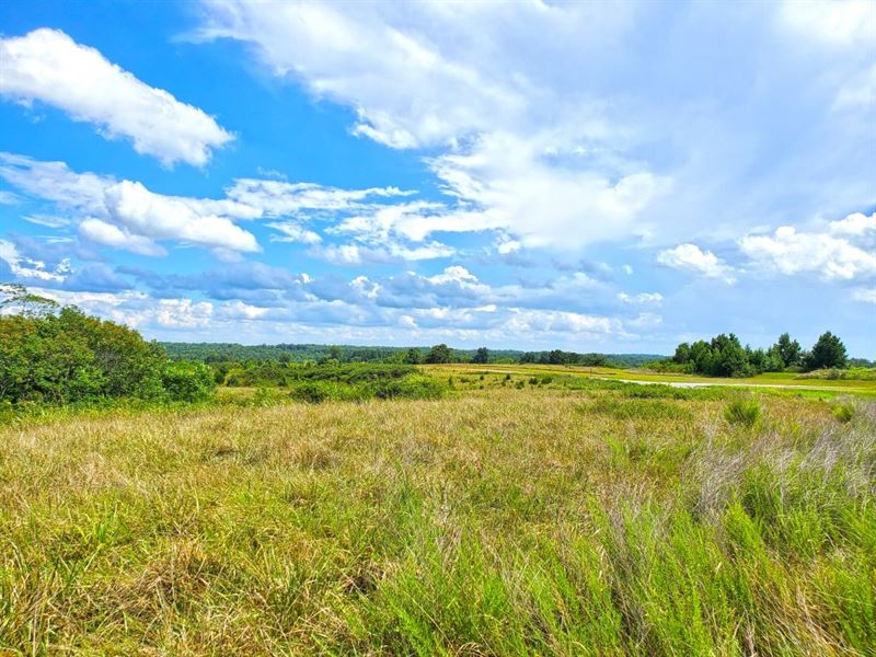 361 Acres of Prime Development Land : Farmville : Prince Edward County : Virginia