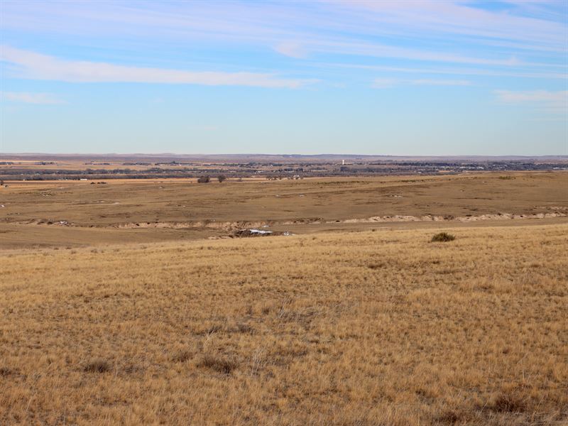 Harvey Pasture : Lingle : Goshen County : Wyoming