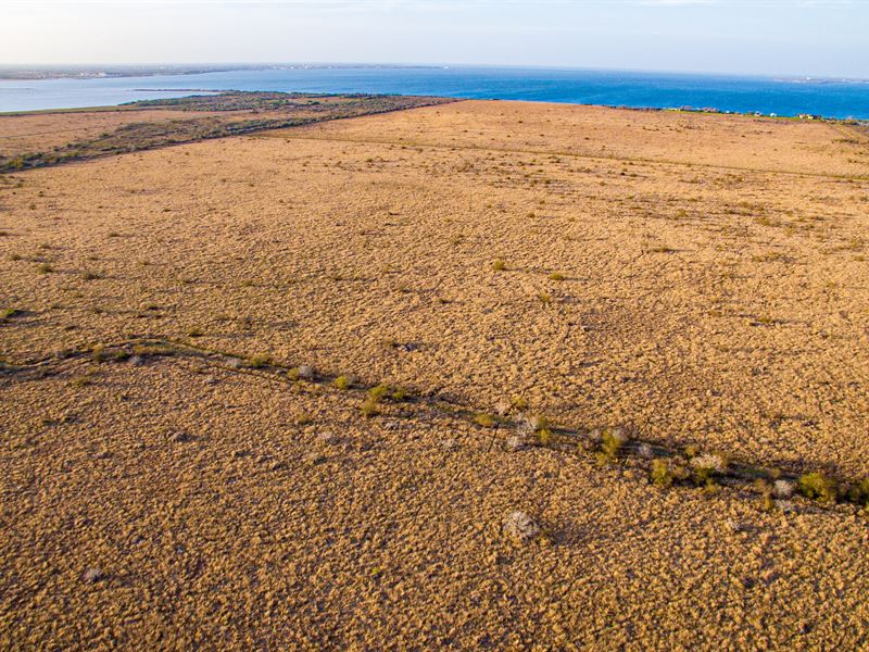 .60 Acre Close to The Beach : Port Lavaca : Calhoun County : Texas