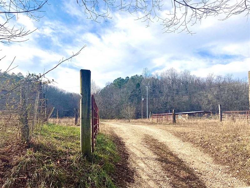 Log Home on 118 Acres For Sale Land for Sale in Ellington, Reynolds