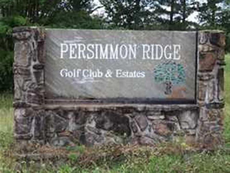 Lot 16, Persimmon Ridge Estates : Greenbrier : Faulkner County : Arkansas