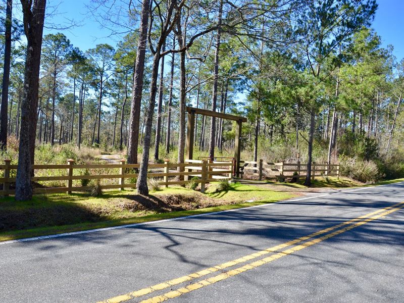 Twin Creeks Farm : Quincy : Gadsden County : Florida