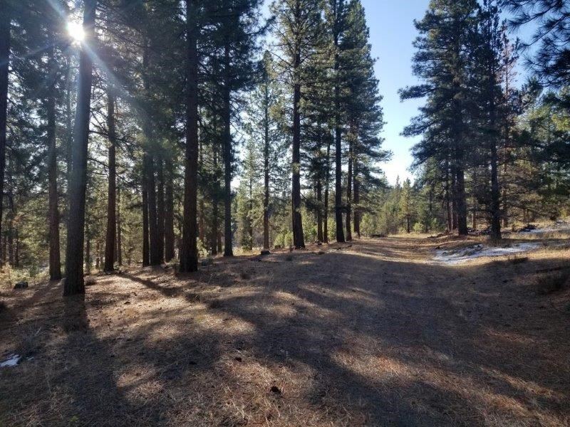 Mountain Retreat/105 : Alturas : Modoc County : California