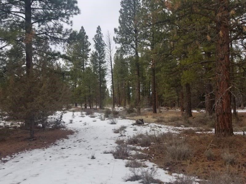Mountain Retreat, 10 Acres Northern Land for Sale in Davis Creek