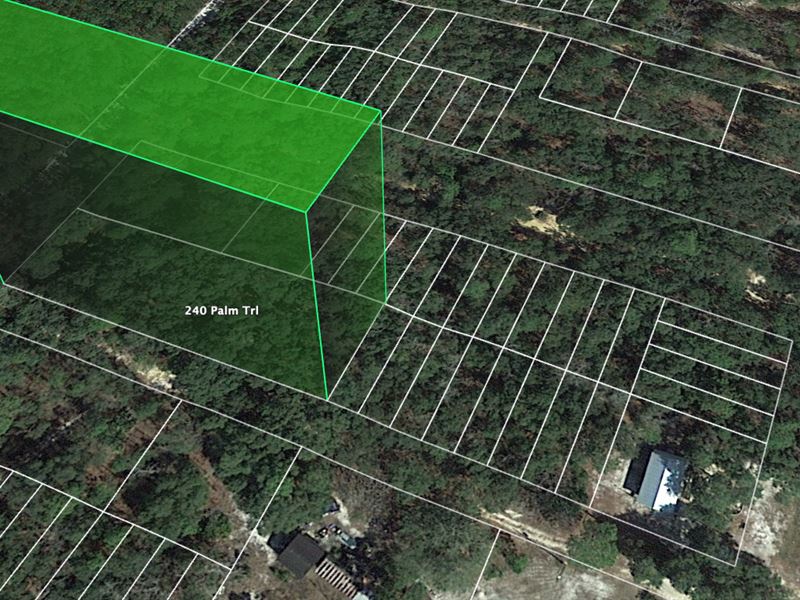 .69 Acre of AG Zoned Lot in Palatka : Palatka : Putnam County : Florida