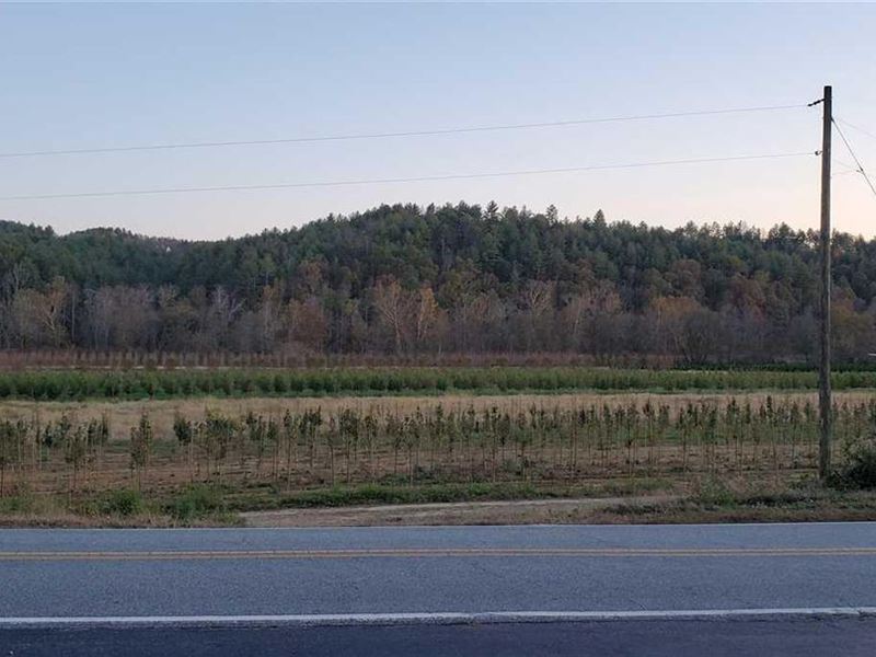 1.75Ac, 5612 Collett Ridge Cir : Lenoir : Caldwell County : North Carolina