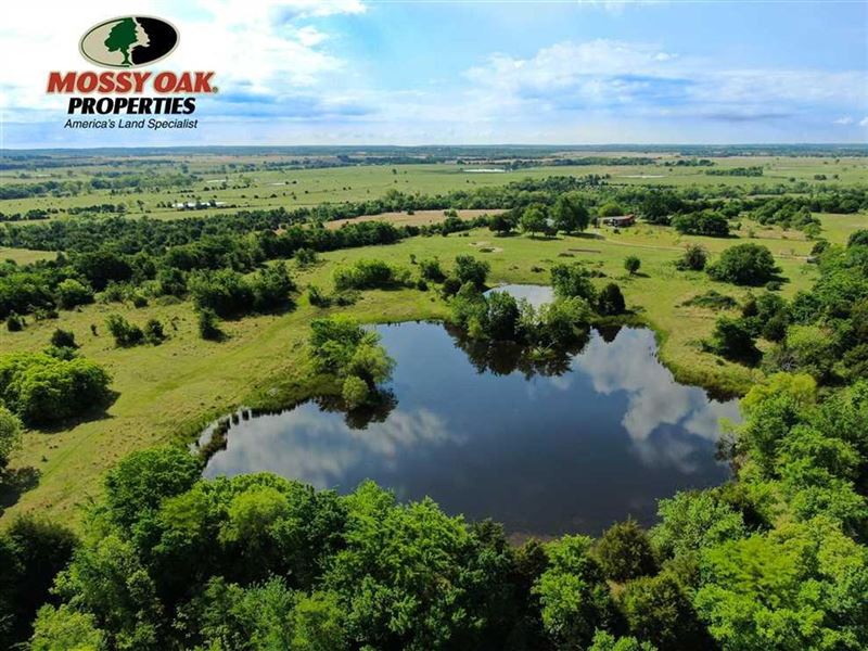Country Side Hunting : Wetumka : Hughes County : Oklahoma