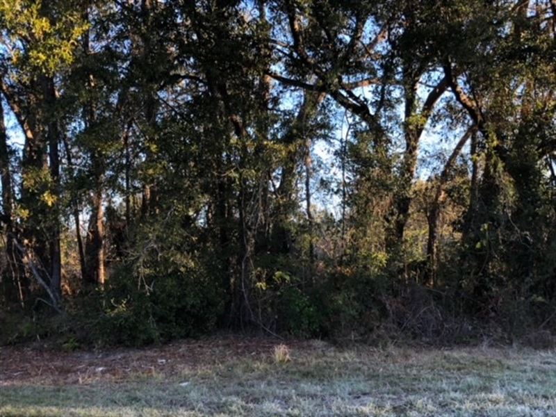8.87 Acres : Chiefland : Levy County : Florida