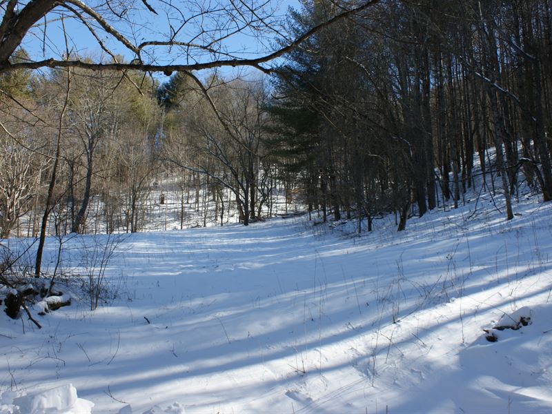 Secluded Mountain Tract with Spring : Fries : Grayson County : Virginia