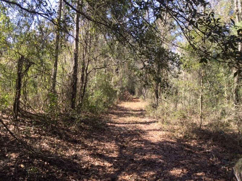Gorgeous Property Near White Lake : Live Oak : Suwannee County : Florida