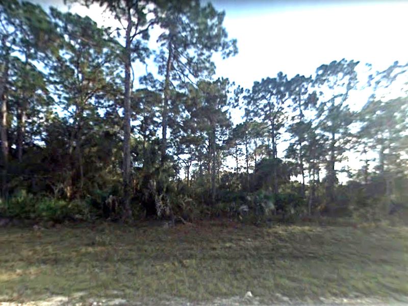Great Investment Lot Banyan Village : Labelle : Hendry County : Florida