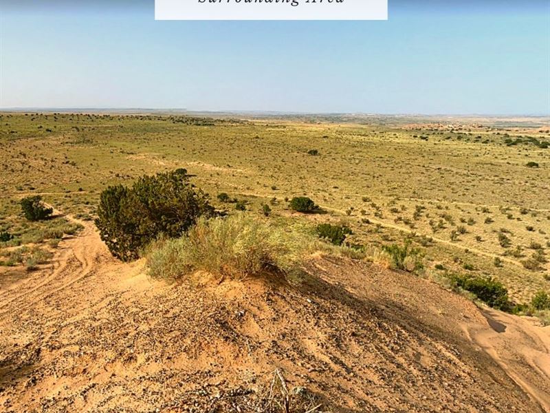 2 Acres Only $1Dn, $199/Mo : Rio Rancho : Sandoval County : New Mexico