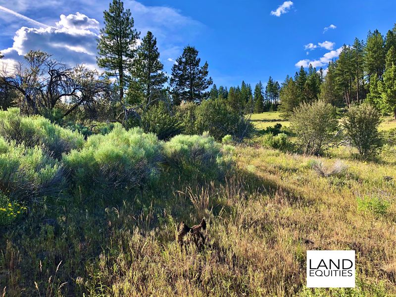 Beautiful Location, Amazing Views : Beatty : Klamath County : Oregon