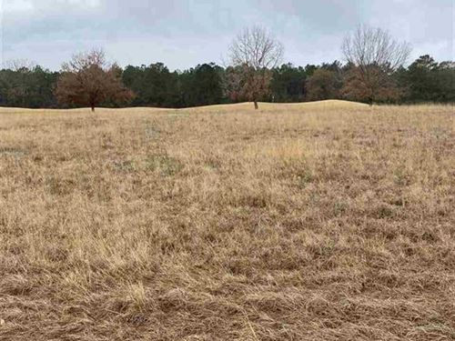 Golf Course Community : Hawkinsville : Pulaski County : Georgia