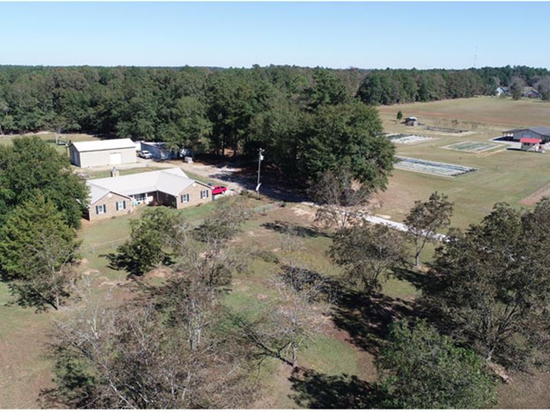 Home and Shop Building on 6.5 Acres : Blythe : Richmond County : Georgia