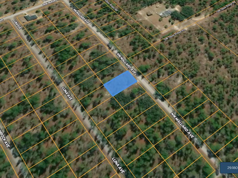 Vacant Lot in Dunnellon, FL : Dunnellon : Marion County : Florida
