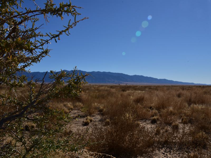 Huge Opportunity on 1.25 Acres : Los Lunas : Valencia County : New Mexico