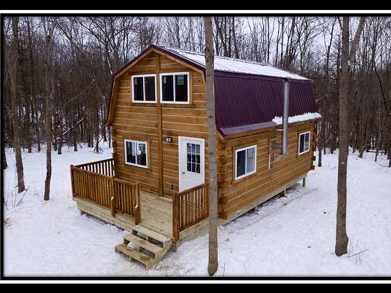 Dream Cabin, Pear Orchard : Dresden : Muskingum County : Ohio