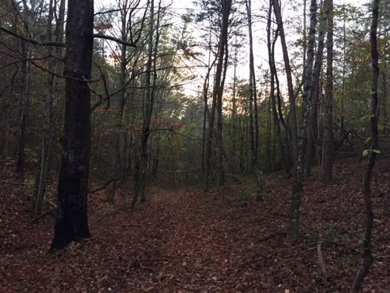 Knox County 103 Acre Residential : Knoxville : Knox County : Tennessee