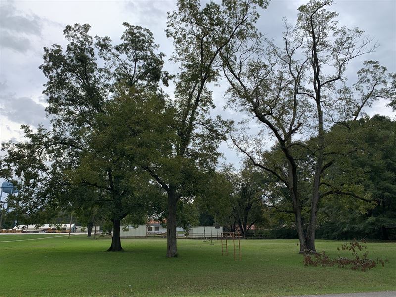Linden Lot : Linden : Marengo County : Alabama
