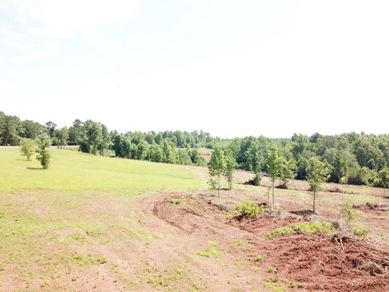 36.19 Acres on Lee Rd 71 : Auburn : Lee County : Alabama