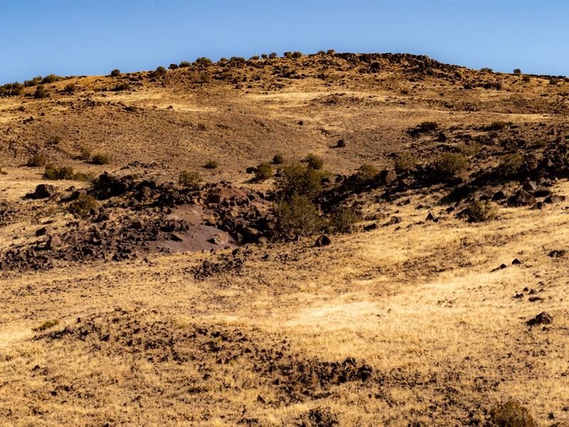 10 AC in Apache, Az, $299 Per Month : Concho : Apache County : Arizona