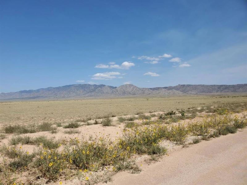 5+ Acres Ranch in Belen, NM : Belen : Valencia County : New Mexico