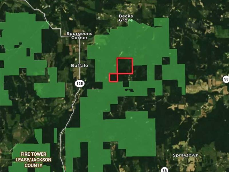 200 Acres-Brown Co. In, Surrounde : Seymour : Brown County : Indiana