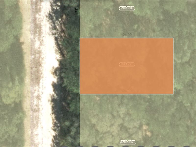 .22 Acres Lot, for $225 Per Month : Interlachen : Putnam County : Florida