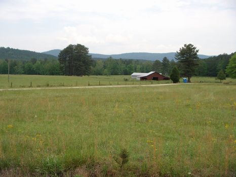 Beautiful 87 Acre Farm : Piedmont : Calhoun County : Alabama
