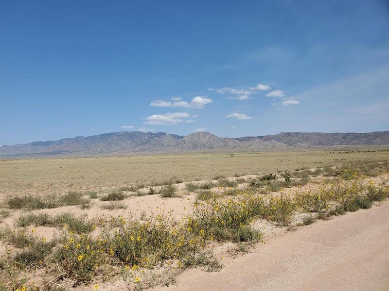 5+ Acre Ranch for $399 Per Month : Belen : Valencia County : New Mexico
