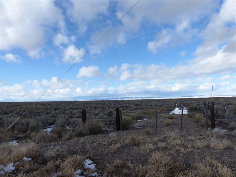156 + Acres Between Burns and Crane : Burns : Harney County : Oregon
