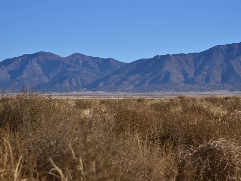 Cul DE Sac Lot .586 Acres : Los Lunas : Valencia County : New Mexico