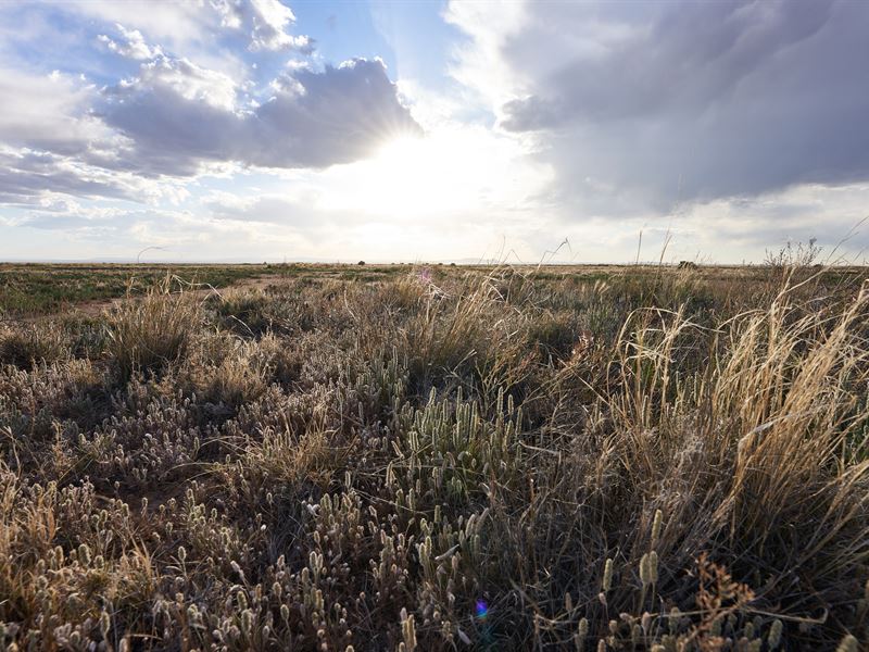 $50 a Month is Affordable : Los Lunas : Valencia County : New Mexico