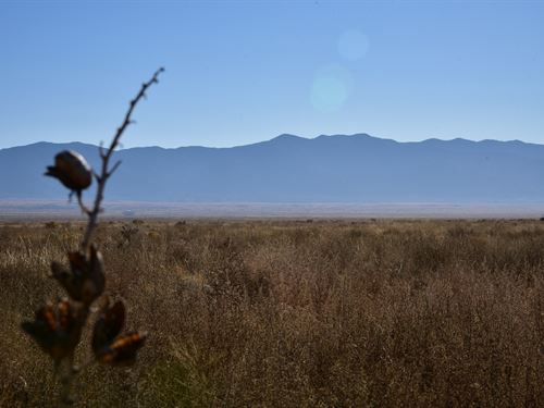Land For Sale 1 5k Landflip Land For Sale 1 5k Landflip