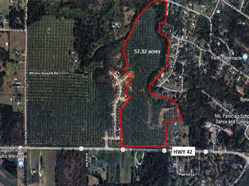 Development Tract in Peach County : Byron : Peach County : Georgia