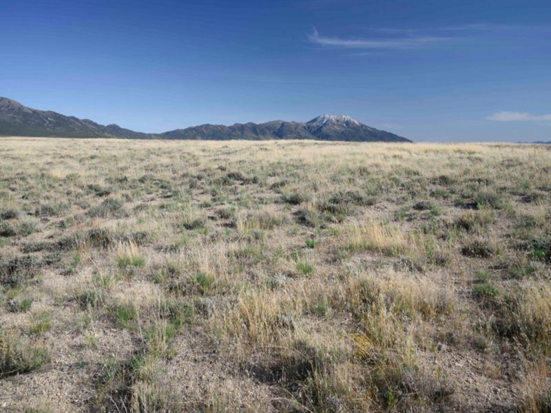 40 Acre Ranch Bordered by Blm Land : Montello : Elko County : Nevada
