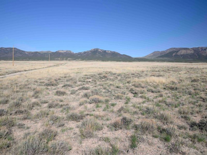 Unique 40 Acre Ranch Elko NV $599 : Montello : Elko County : Nevada
