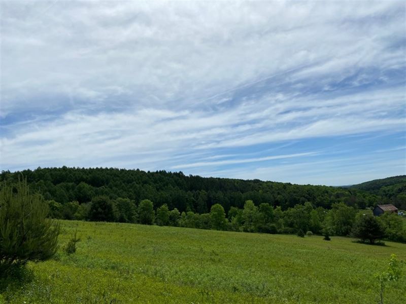 New Lisbon Valley Views : New Lisbon : Otsego County : New York