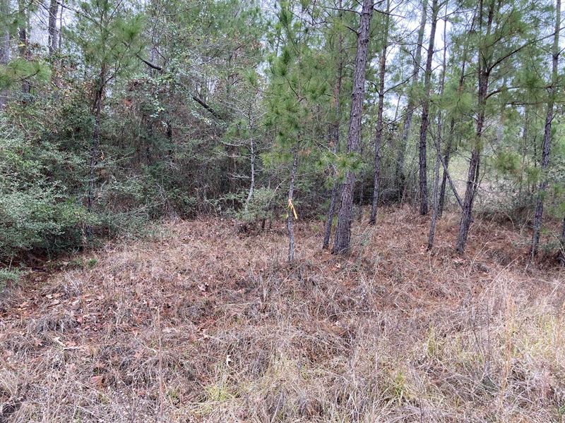 Double Lot for RV & Camping : Port Adventure : Trinity County : Texas